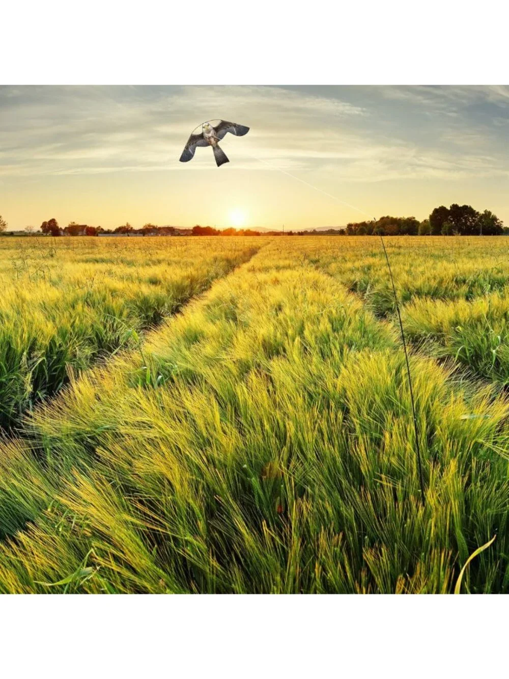 Bird Scarer Hawk Flying Kite with 13ft Telescopic Pole - Outdoor Garden Decor